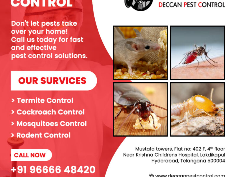 Best Pest Control Services in Hyderabad