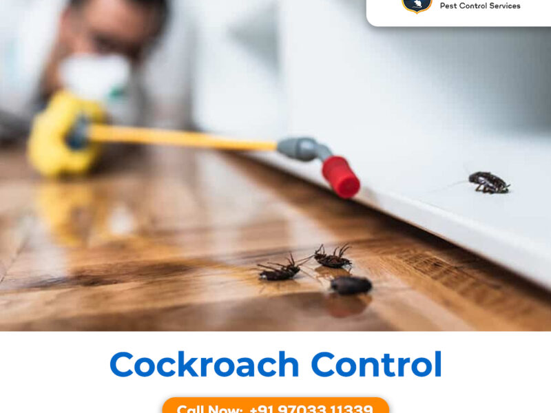 Cockroach Pest Control Hyderabad