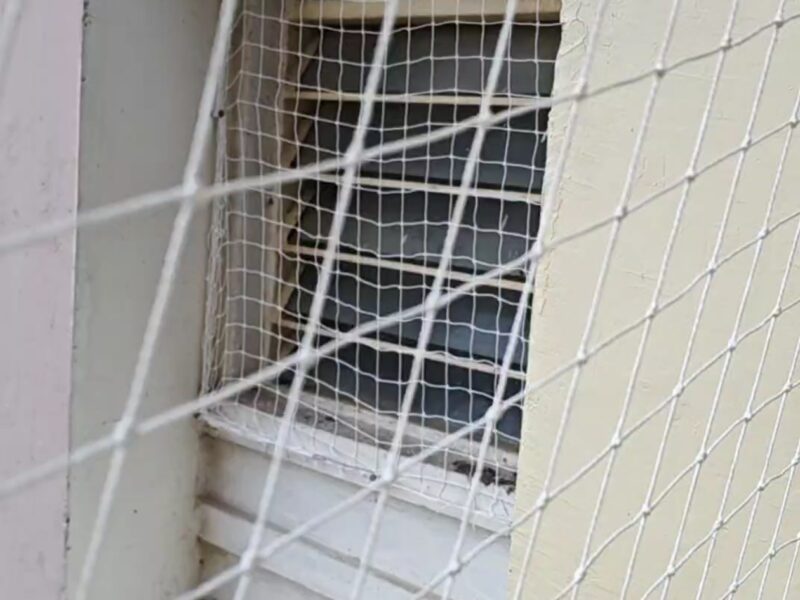Fine Bird Netting Service Bhopal
