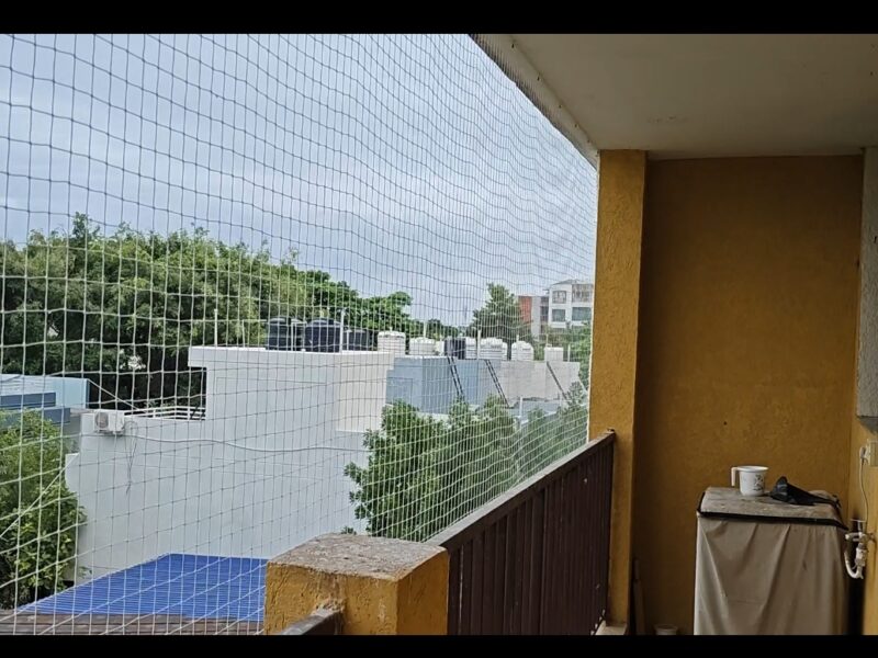 Fine Bird Netting Service Bhopal