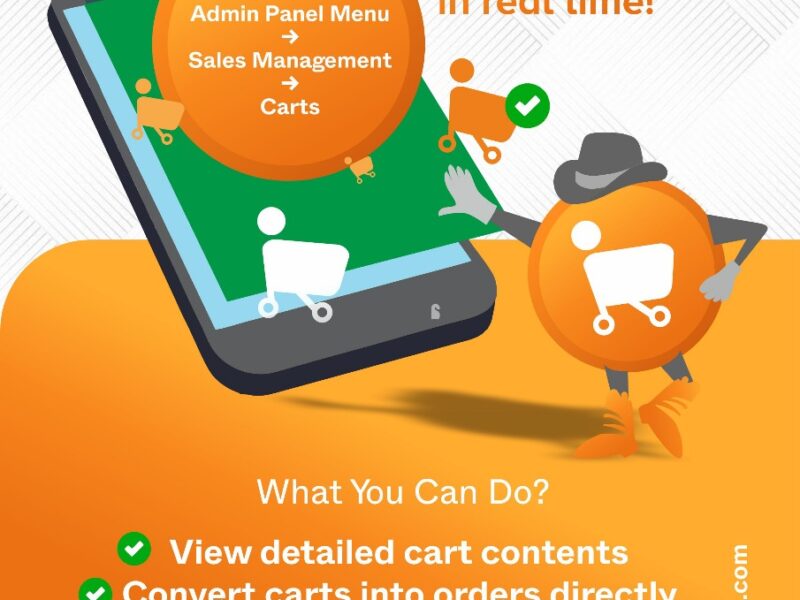 Ecommerce app development service
