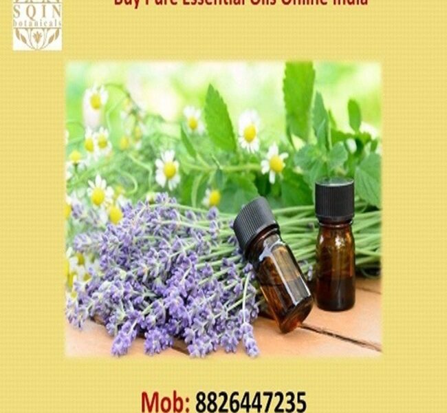 Buy AG Organica Kumkumadi Oil for Best Results