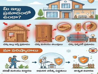 Pest control services in Hyderabad