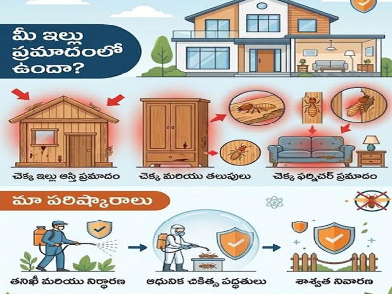 Pest control services in Hyderabad