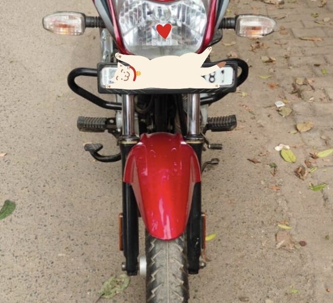 Second Hand Used Bajaj Platina 2021 For Sale In Delhi